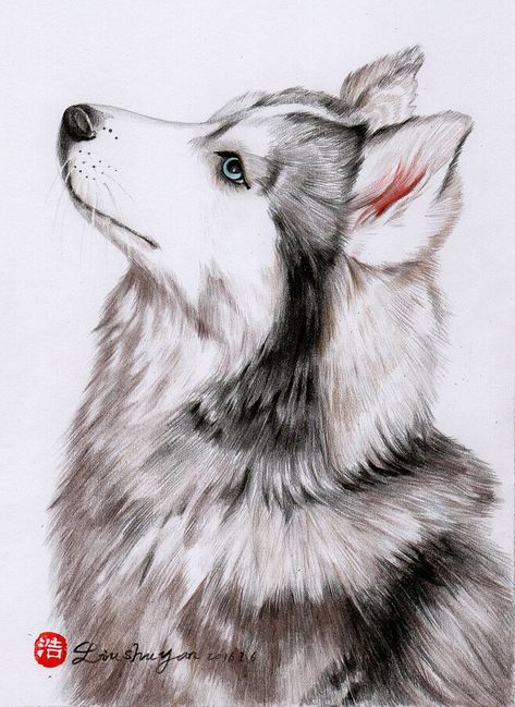 Husky Drawing, Dog Portrait Drawing, Dibujos Toy Story, Abstract Tree Painting, Dog Canvas Art, Animal Drawings Sketches, Pen Art Drawings, Dog Sketch, Watercolor Paintings For Beginners