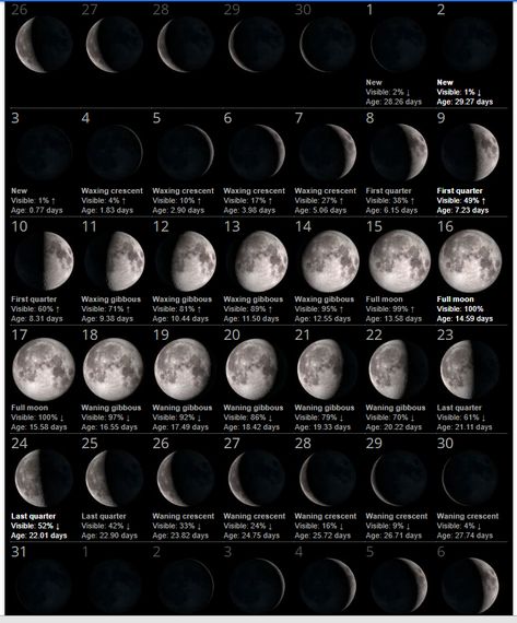 New Moon And Full Moon, Full Moon Calendar, Moon Phases Calendar, May Full Moon, January Month, Full Moon Phases, New Moon Phase, Moon Date, Moon Phase Calendar