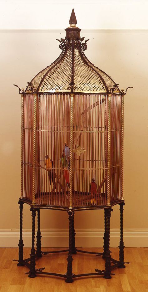 Victorian Birdcage, Vintage Bird Cages, Carpenter Bee Trap, Antique Bird Cages, Cage Decor, Henry Jones, Caged Bird, The Caged Bird Sings, Bird Cage Decor