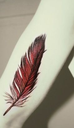 Cardinal Feather Tattoo, Cardinal Feather, Tattoo Feather, Cardinal Tattoo, Feather Butterfly, Cardinal Tattoos, Butterfly Inspiration, Trendy Tattoo