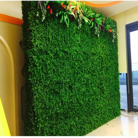 Hedge Garden, Boxwood Hedge Wall, Vertikal Garden, Artificial Grass Wall, Fern Flower, Boxwood Hedge, Dark Panels, Kota Tangerang, Vertical Gardens