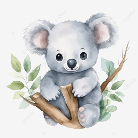 Koala Watercolor, Kindergarten Classroom Design, Koala Cute, Diy Gifts Videos, Cute Koala Bear, Interesting Drawings, Bear Watercolor, Bear Images, Cute Koala