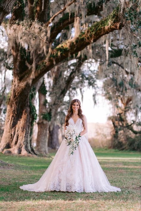 Bridal Portrait Inspiration, Outdoor Bridal Photoshoot Ideas, Outdoor Bridal Photos, Wedding Photo Ideas Outdoor, Bride Pictures Ideas Photo Poses, Bride Alone Photos, Bridal Portrait Ideas Outdoor, Bridal Flowers Bouquet White, Bride Poses Single