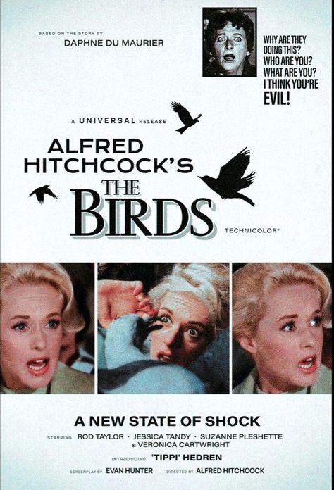 THE BIRDS (1963) poster by Aleks Phoenix The Birds Poster, Hitchcock The Birds, The Birds Movie, Titanic Movie Poster, Alfred Hitchcock The Birds, Jessica Tandy, Suzanne Pleshette, Birds Poster, Tippi Hedren