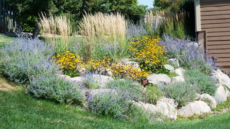 Garden Planting Landscaping Minneapolis Minnesota Landscaping, Living Pool, Stormwater Management, Natural Landscaping, Landscaping Business, Dream Landscape, Landscape Maintenance, Landscape Construction, Landscape Plan