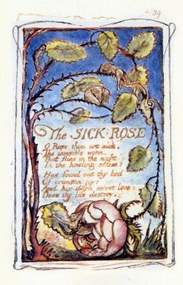 William Blake, The Sick Rose Romantic Period Art, The Sick Rose, William Blake Poems, Auguries Of Innocence, University Of Michigan Library, Songs Of Innocence, Allen Ginsberg, Poetic Words, William Blake