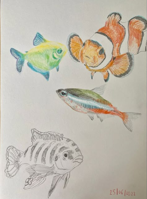 Arte Grunge, Art Diary, Sketchbook Inspiration, Art Collage Wall, Fish Art, Cool Art Drawings, Sketchbook Art Inspiration, Art Journal Inspiration, Art Portfolio