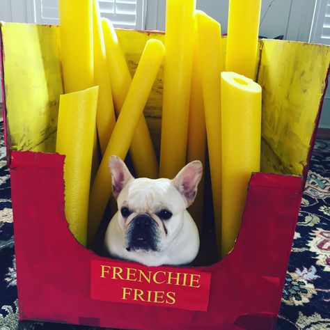 DIY Frenchie Fries Dog Costume - Costume Yeti Diy Pet Costumes, Best Dog Halloween Costumes, Best Dog Costumes, Costumes For Dogs, Cat Halloween Costume, Game Mode, Pet Halloween Costumes, Dog Halloween Costumes, French Bull