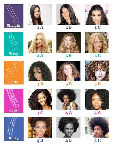 Hair Type Chart, Hair Chart, Haircut Types, Curly Hair Types, Types Of Hair, Curly Hair Updo, Curly Hair Inspiration, Curly Hair Routine, Curly Hair With Bangs