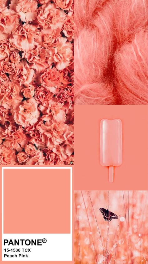 PANTONE Peach Pink Peaches And Cream Color Palette, Salmon Pink Aesthetic, Salmon Aesthetic Color, Peach Color Aesthetic, Shades Of Peach Colour Palettes, Salmon Colour Aesthetic, Peach Pink Aesthetic, Salmon Color Palette, Pantone Peach Pink