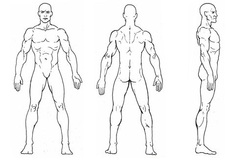 Sketches Male, Body Bases, Sketch Model, Male Drawing, Drawing Anatomy, Character Reference Sheet, Character Turnaround, Model Sketch, Character Template