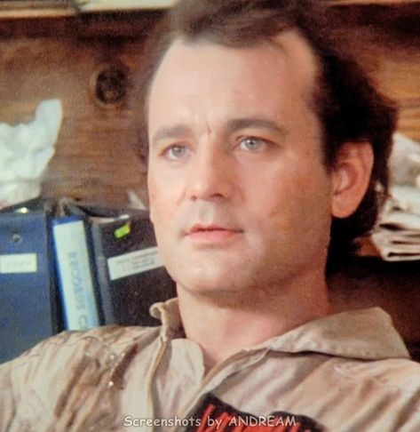 Ghostbusters 3, Ghostbusters 1984, Ghostbusters Movie, The Real Ghostbusters, Blues Brothers, Twist Of Fate, Bill Murray, Ghost Busters, Paranormal Investigation