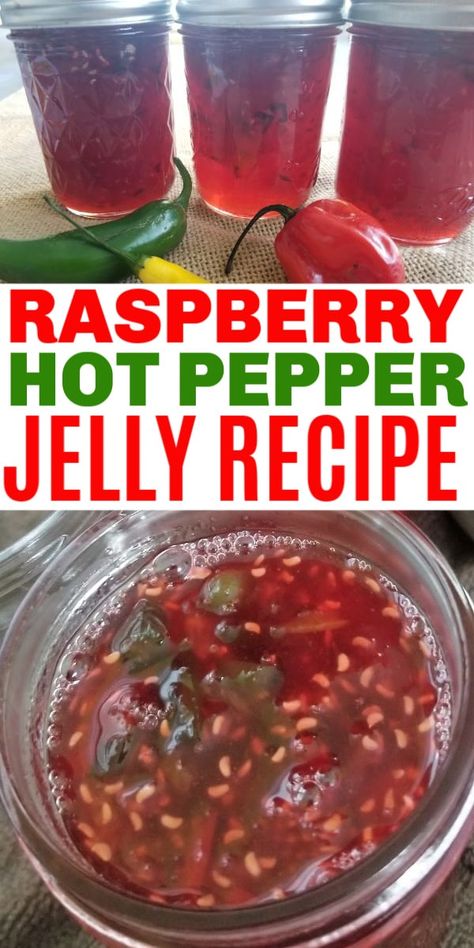 Raspberry Jalapeno Jelly, Hot Pepper Jelly Recipe, Jalapeno Jelly Recipes, Pepper Jelly Recipe, Jalapeno Pepper Jelly, Hot Pepper Recipes, Canning Jam Recipes, Pepper Jelly Recipes, Jalapeno Jelly