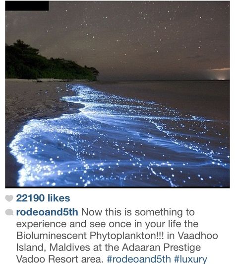 Bioluminescent phytoplankton in Vaadhoo Island, Maldives at the Adaaran Prestige Vadoo Resort area! Vaadhoo Island, Sea Of Stars, Star Ocean, Earth Pictures, Ocean Wave, Nikon Photography, Maldives, Places To Go, Cool Photos