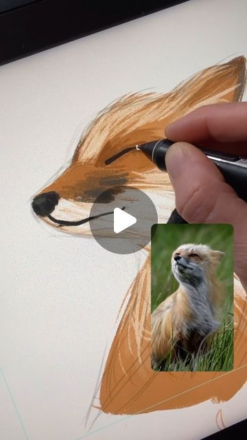 Martina Hoffmann Illustration on Instagram: "I saw this video of this adorable fox the other day - captured by Lee Andelson @wakeuptoadventure. I saved it in my „inspiration folder“ and knew I’d want to draw it as soon as possible. Today I made time for it and I want to share the original videos as well as my drawing process with you.

#relaxingvideos #satisfyingvideo #drawingprocess #drawingvideo #drawingexercise #artprintshop #artprints #artreels #illustration" Martina Hoffmann, Fox Illustration Drawing, Want To Draw, Fox Illustration, Drawing Exercises, Drawing Process, Satisfying Video, Drawing Videos, Art Class