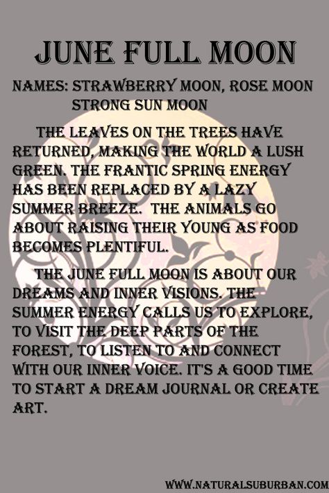 The June Full Moon is all about our dream world and our creativity.* Full Moon Names, Moon Meaning, Moon Names, Strawberry Moons, Full Moon Ritual, Moon Cycles, Moon Magic, Summer Solstice, Spell Book