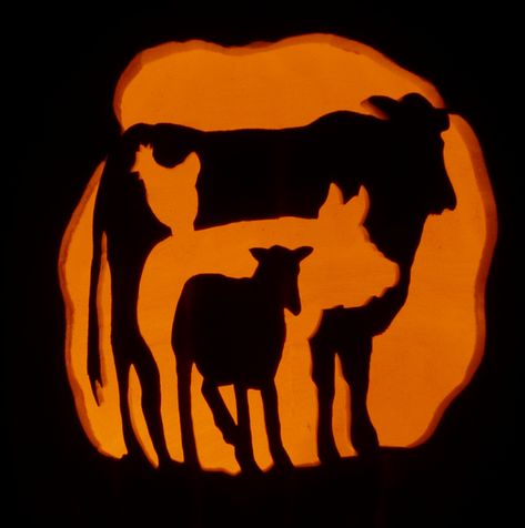 2019 Carved foam pumpkin-for scary farm-themed Halloween Party Pumpkin Carving Cow Ideas, Cow Carving Pumpkin, Farm Themed Pumpkin Carving, Farm Animal Pumpkin Carving, Pumpkin Carving Cow, Farm Pumpkin Carving Ideas, Pumpkin Carving Farm Theme, Pumpkin Carving Ideas Country, Cow Pumpkin Carving