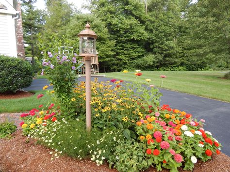 Lamp Post Flower Bed, Lamp Post Flower Bed Ideas, Flower Bed Around Light Pole, Garden Lamp Post Ideas, Lamp Post Landscaping, Front Yard Lighting, Front Driveway, Lantern Hooks, Mailbox Landscaping