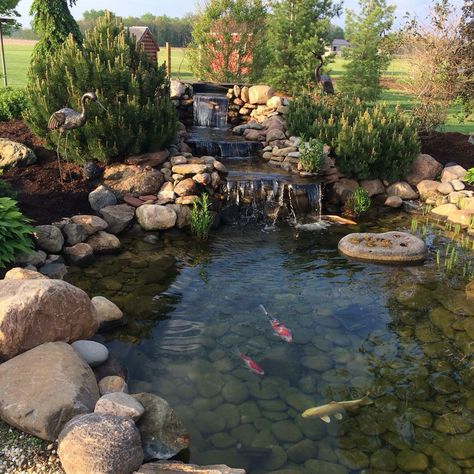 Home Pond Ideas Backyards, Backyard Koi Pond Ideas, Garden Ponds Ideas, Backyard Hardscape, Pond Backyard, Koi Pond Backyard, Ponds Ideas, Koi Pond Design, Fish Pond Gardens