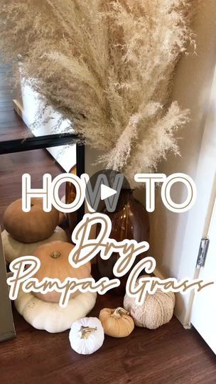 1.1K views · 18 reactions | DIY pampas grass #ScaryStories #LaptopCat #pampasgrass #diypampasgrass #diyfalldecor #diyhomedecor #homedecoronabudget | Ariana Kennedy | Ariana Kennedy · Original audio Pampas Deco, Dry Pampas, Pampas Grass Decor, Grass Decor, Boho Baby Shower, Boho Diy, Diy Crafts For Home Decor, Fall Decor Diy, Crafty Diy