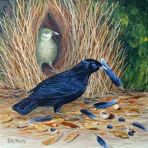 Bower Birds, Animal Architecture, Human Abstract, Birds House, Bower Bird, Bird Nests, Image Painting, Wild Creatures, Australian Birds