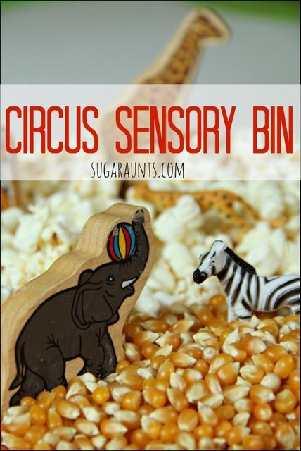 Circus Sensory Bin, Circus Sensory, Unicycle Circus, Circus Books, Circus Crafts Preschool, Circus Week, Sensory Bin Activities, Preschool Circus, Animal Identification