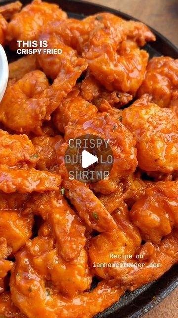 Amanda Rettke on Instagram: "Click the link in my profile for full recipe! #iamhomesteader #homesteadrecipes #crispyshrimp #buffaloshrimp RECIPE: https://iamhomesteader.com/crispy-buffalo-shrimp/" Redstone Buffalo Shrimp Recipe, Hooters Buffalo Shrimp, Hooters Buffalo Shrimp Recipe, Amanda Rettke, Buffalo Shrimp Recipes, Buffalo Shrimp, Crispy Shrimp, Shrimp Recipe, Shrimp Recipes