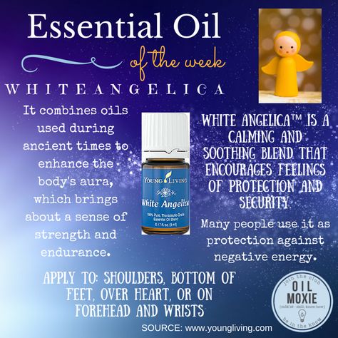 This week's essential oil of the week: White Angelica! For more information head to www.essentiallylovelyliving.com White Angelica Essential Oil, Awaken Essential Oil, Airome Essential Oils, Diy Diffuser Blends, Progessence Plus Young Living, White Angelica, Young Living Starter Kit, Longevity Young Living, Eos Products