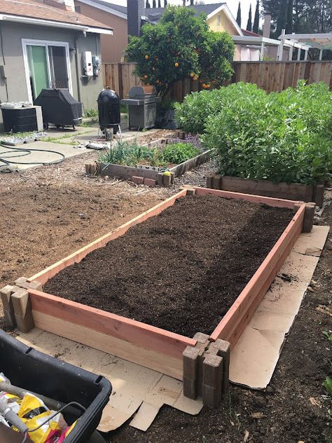 Happy Easter! Spring is in full swing, and we will be planting Annie’s tomato seedlings really soon. I spent my Easter Sunday building a couple of raised garden beds / planter boxes in our backyard. Here’s a view of the first bed after I got done: Let me show you step by step how I … Continue reading How I Built My Raised Garden Bed → Building Above Ground Garden Raised Beds, Pine Raised Garden Beds, Short Raised Garden Bed, Cheap Raised Flower Beds, How To Build A Raised Garden Bed Diy Planter Boxes, Raised Garden Bed With Pavers, Inexpensive Raised Garden Beds Diy, Diy Raised Garden Bed Cheap Easy, Raised Garden Plans