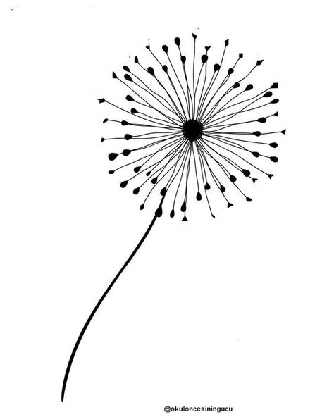 Dandelion Drawing, Drawing Lines, Thumb Prints, 2nd Grade, Line Drawing, Garden Tools, Dandelion, Drawings