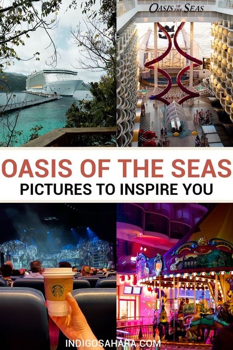 oasis of the seas pictures Cruise Outfits Caribbean, Cruise Tips Royal Caribbean, Oasis Of The Seas, Royal Caribbean Cruise Ship, Royal Caribbean Cruise Lines, Royal Caribbean Ships, Sea Pictures, How To Book A Cruise, Royal Caribbean Cruise