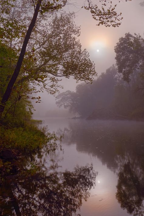 Dark Naturalism, The Ozarks, Animals Beautiful, Missouri, Art Inspo, Landscape Paintings, Phone Wallpaper, Country Roads, Lake