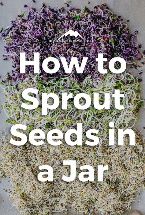 How to Grow Your Own Sprouts Sprouting Seeds In A Jar, How To Sprout Seeds, Sprouts Growing, Sprouted Seeds, Sprout Seeds, Herbal Kitchen, Herb Diy, Vegan Pantry, Mountain Rose