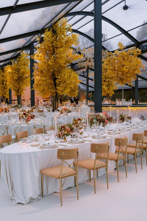 Beautiful fall wedding reception dinner inside a massive custom built tent in Nashville Tennessee Fall Tent Wedding Reception, Fall Tent Wedding, Wedding Welcome Dinner, Event Venue Design, Wedding Smile, Fall Wedding Reception, Wedding Reception Dinner, Beautiful Fall Wedding, Big Wedding Cakes