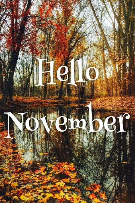 Hallo November, November Pictures, November Images, Neuer Monat, Welcome November, November Quotes, November Wallpaper, Seasons Months, Monthly Quotes