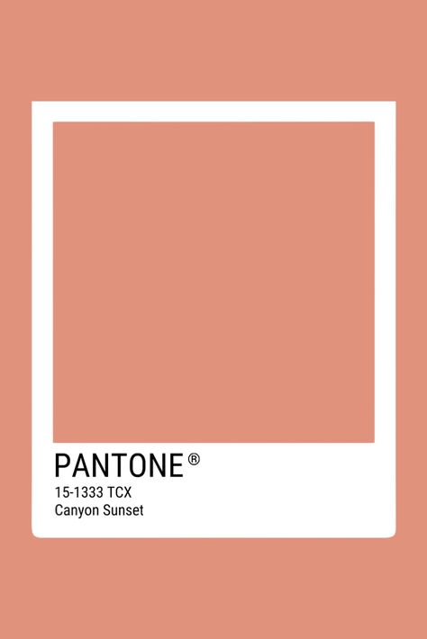 Tcx Pantone, Color Board, Hex Color Codes, Hex Colors, Color Analysis, Colour Board, Color Coding, Almond, Polymer Clay