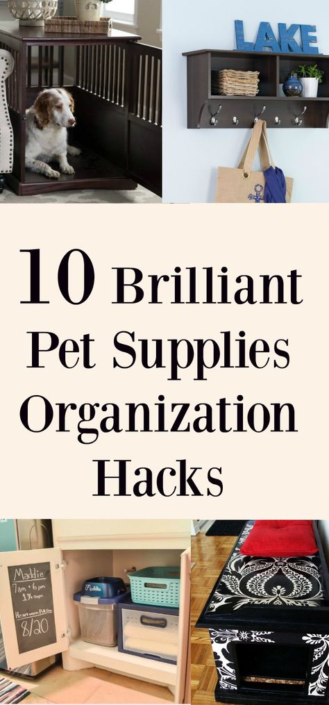 I love my dogs but their stuff is getting a bit out of control. I have been looking for some pet supplies organization ideas so that I can get all of their things neatly out of the way. It is bad enough that I have a 3 year old to pick up after all of … Pet Diy Projects, Pet Supplies Organization, Dog Organization, Diy Hanging Shelves, Pet Organization, Organizing Hacks, Closet Organization Diy, Wine Bottle Diy Crafts, Floating Shelves Diy