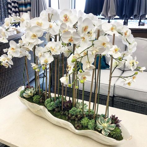 Orchid Interior Design, Orchid Interior, Orchid Flower Arrangements, Orchid Planters, Tropical Flower Arrangements, Glass Bottles Decoration, Flower Vase Arrangements, Orchid Arrangements, Wine Glass Art