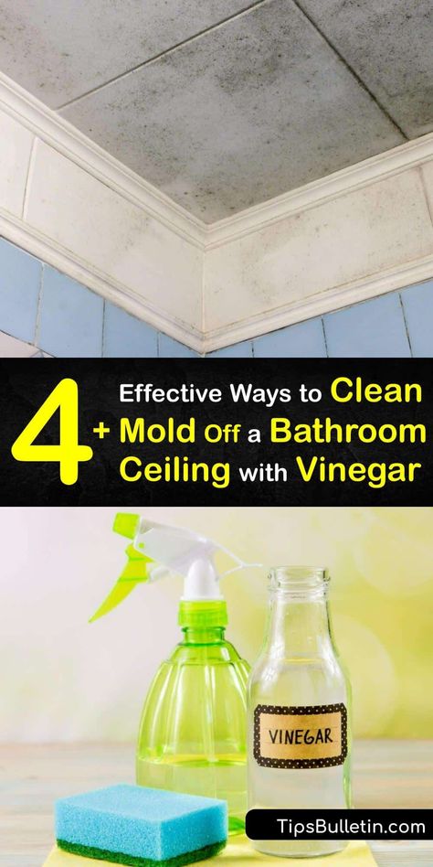 If killing mold is your priority, we’ve got the mold removal tips you need. Discover how to remove bathroom mold and stop mold growth on any porous surface with vinegar. Make your bathroom sparkle again with our in-depth tutorial. #remove #mold #bathroom #ceiling Cleaning Bathroom Mold, Mold On Bathroom Ceiling, Bathroom Mold Remover, Bathroom Mold, How To Remove Mold, Mold And Mildew Remover, Mold Spray, Vinegar Cleaner, Remove Mold