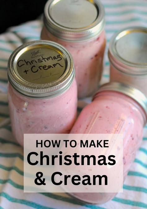 Christmas & Cream Spread | 12 Tomatoes Christmas In A Jar, Christmas Cream, Christmas Food Gifts, Cream Cheese Spreads, Jam And Jelly, Cranberry Recipes, Front Porch Christmas Decor Ideas, Porch Christmas Decor Ideas, Diy Pots