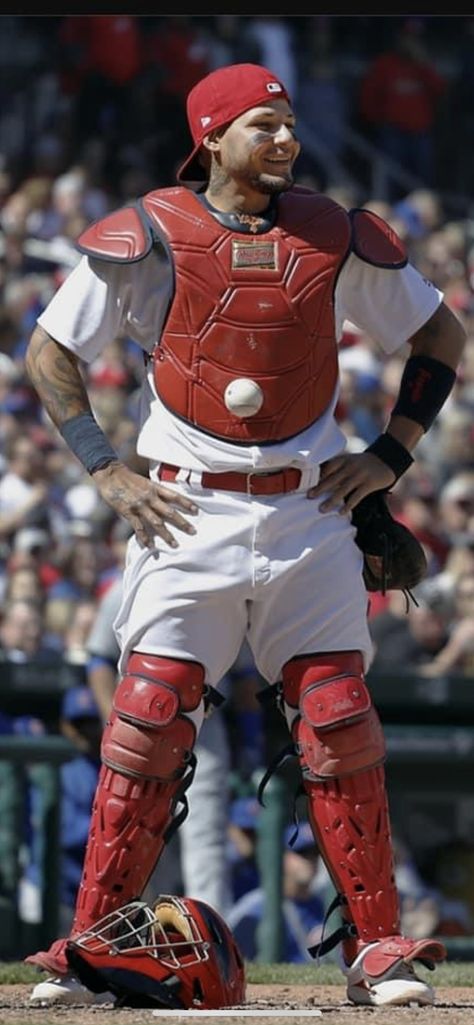 Winter Ball, Yadier Molina, St Louis Cardinals Baseball, Baseball Pictures, Cardinals Baseball, St Louis Cardinals, Baseball Softball, Baseball Players, Cardinals