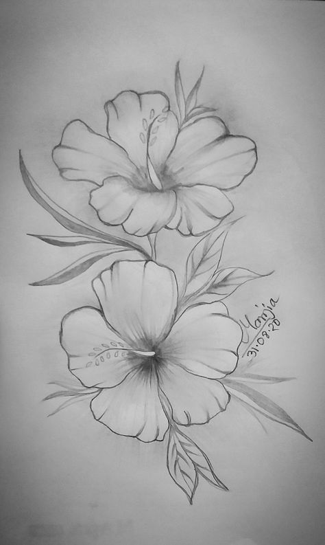 Assalamu Alaikum everyone.. Here I'm new... Hope you like my pencil sketch. It’s my old pencil sketch..plz visit my YouTube channel. Gumamela Drawing, Gumamela Flower Drawing, Gumamela Tattoo, Gumamela Flower, Flower Sketch Pencil, Lotus Flower Drawing, Sketch It, Hope You, Assalamu Alaikum