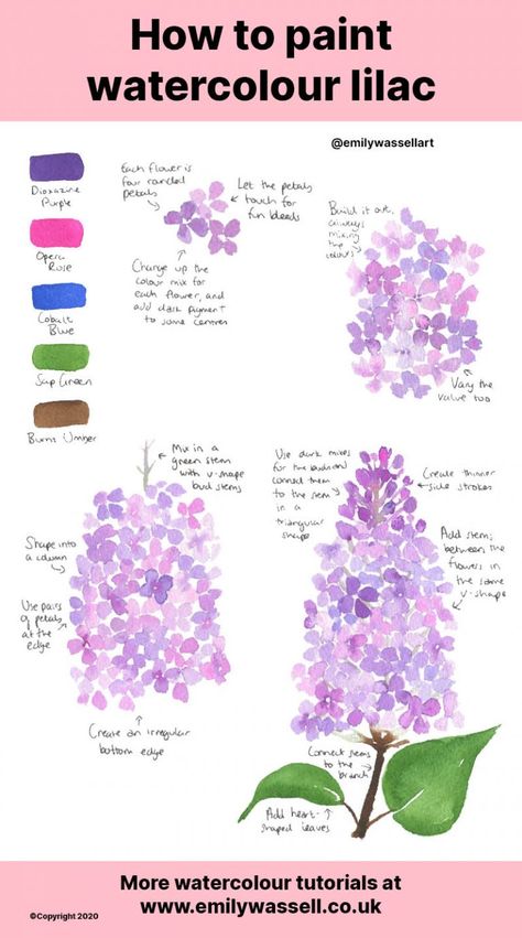 Flower Watercolour Tutorial, How To Draw Lilacs Step By Step, How To Paint Lilacs, Watercolor Lilacs Tutorial, How To Watercolour Paint, How To Paint Watercolour Flowers, Learning To Paint Beginners, Lilac Watercolor Paintings, Watercolour Beginner Ideas