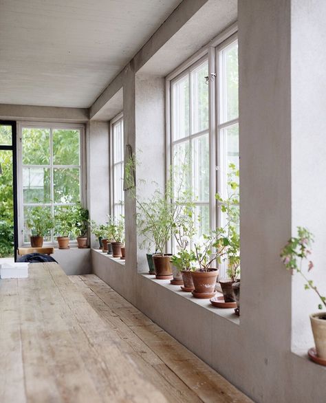 Plants On Window Sill, Plants Window, Ideas Hogar, The Way Home, House Inspo, Window Sill, The Window, House Inspiration, My Dream Home