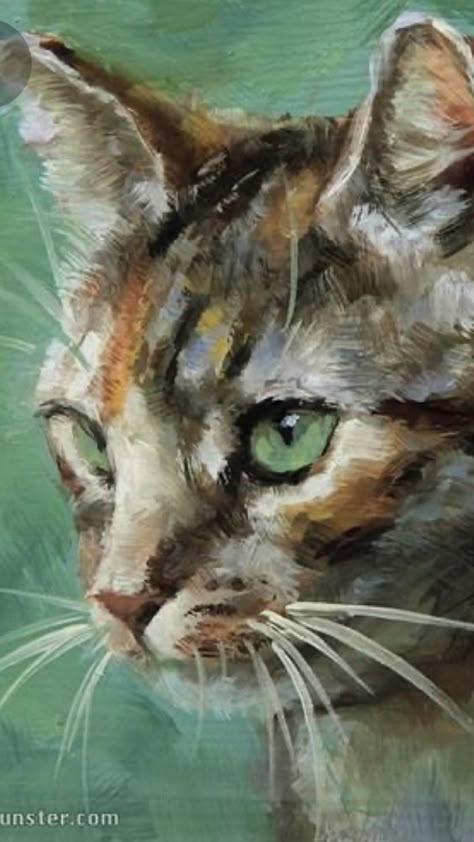 Breathtaking Cat Oil Painting - Personalized Pet Painting Cat Oil Painting, Pet Portrait Paintings, Cat Portrait Painting, Cats Art Drawing, Watercolor Cat, Arte Animal, Cat Portraits, Painting Art Projects, Cat Painting