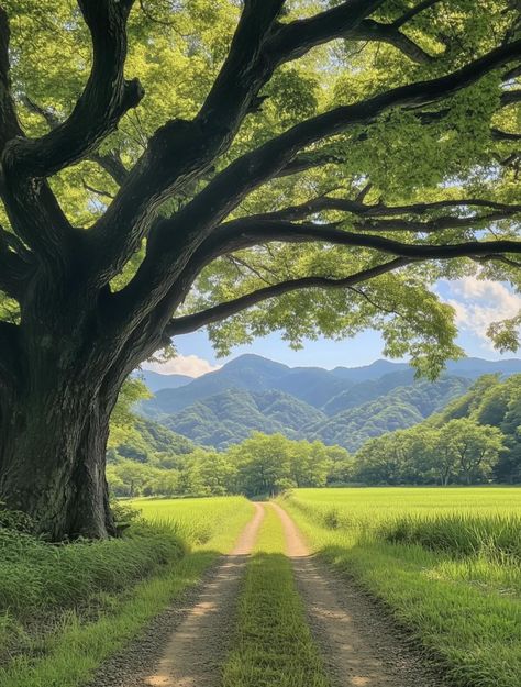 Pretty Landscapes, Dirt Road, Nature Aesthetic, Pretty Places, Nature Pictures, 그림 그리기, Pretty Pictures, Beautiful Landscapes, Mother Nature