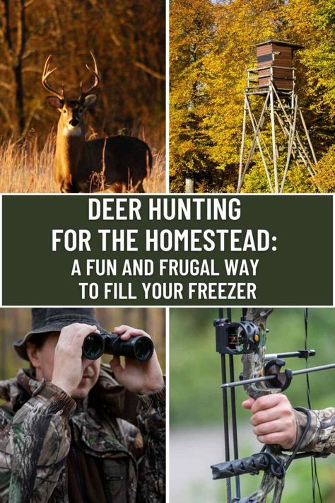 Deer Hunting for the Homestead: A Fun and Frugal Way to Fill Your Freezer 3 How To Hunt Deer, Deer Feed, Fill Your Freezer, Food Plots For Deer, Food Plot, Modern Homesteading, Deer Hunting Gear, Learning Patience, The Homestead