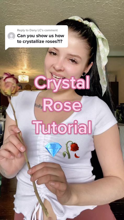 How To Crystalize A Book, Crystallized Flowers, Borax Crystals Diy, Borax Crystals, Crystal Bouquet, Crystal Flowers, Salt Crystal, Soul Healing, Out Of Reach