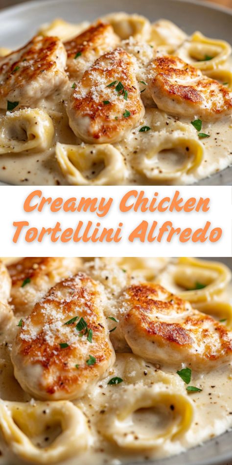 Creamy Chicken Tortellini Alfredo is a rich and indulgent pasta dish with tender chicken, cheese-stuffed tortellini, and a velvety homemade Alfredo sauce. Perfect for a cozy family dinner or a special occasion, this easy recipe comes together in just 40 minutes. Chicken Tortellini Alfredo, Creamy Chicken Tortellini, Tortellini Alfredo, Chicken Tortellini, Homemade Alfredo, Homemade Alfredo Sauce, Cheese Stuffed, Quick Easy Recipes, Alfredo Sauce