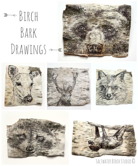 birch bark art | Saltwater Birch Studio Birch Bark Painting, Painting On Birch Bark, Bark Art Projects, Tree Bark Drawing, Bark Drawing, Birch Bark Crafts Diy, Birch Bark Art, Tree Bark Art, Birch Bark Decor